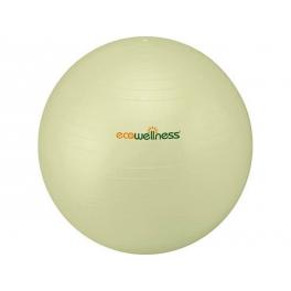 Ecowellness Ball 55cm