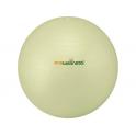 Ecowellness Ball 65cm